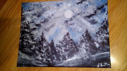 PUN MJESEC ZIMI akril na platnu 40 x 30