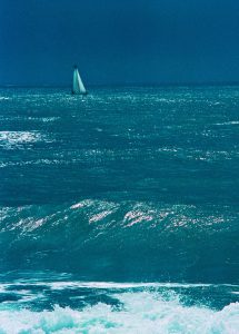 Aukcija i izložba fotografija