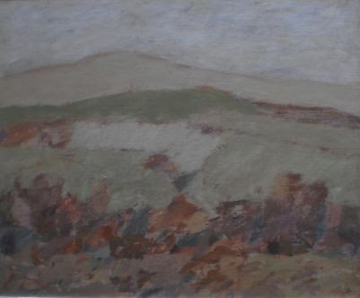 monografije Ljubomira Perčinlića