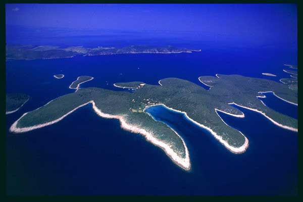 LIKOVNI SUSRET NA PALMIŽANI