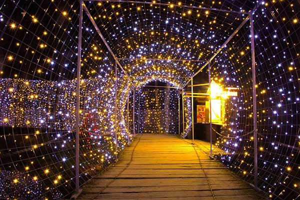 Božićna bajka obitelji Salaj