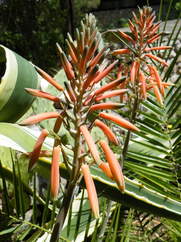 Izložba fotografija Snježane Žane Požar