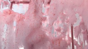 Paulina Jazvić: Sweet dreams