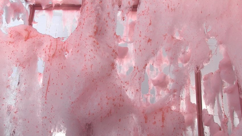 Paulina Jazvić: Sweet dreams