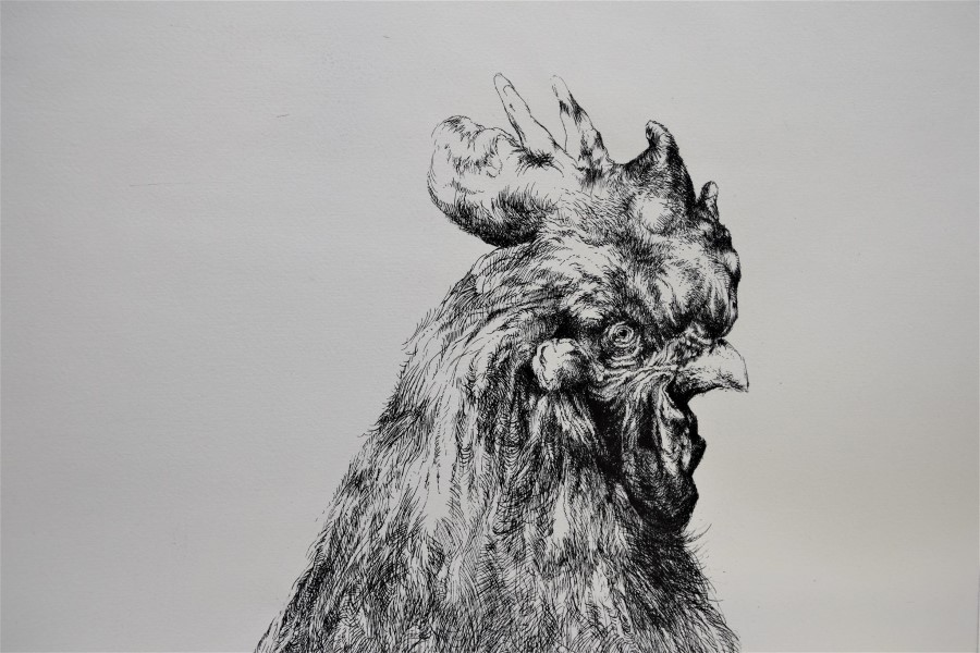 Skupna izložba Moj doživljaj muke