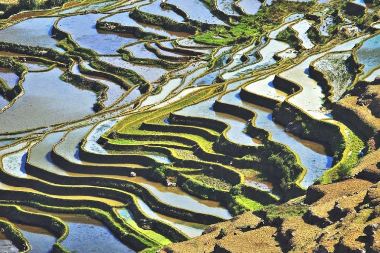 Samostalna izložba fotografija Božidara Kasala