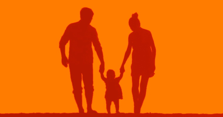 Gordana Sedmak Jednačak