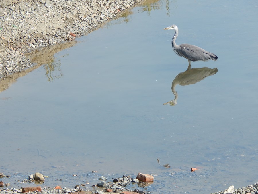 Izložba fotografija Neno Mihovil Tica-Celic