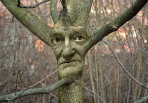 Izložba fotografija dobitnika nagrade “Tošo Dabac” Bože Marijančića