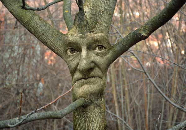 Izložba fotografija dobitnika nagrade “Tošo Dabac” Bože Marijančića