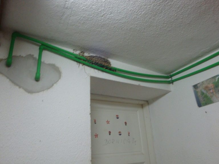 VRATILE SU SE I DOŠLE SU NOVE