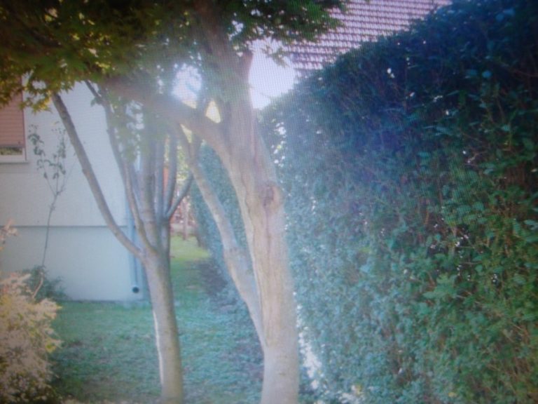 OGRADE RAZDVAJAJU I SPAJAJU