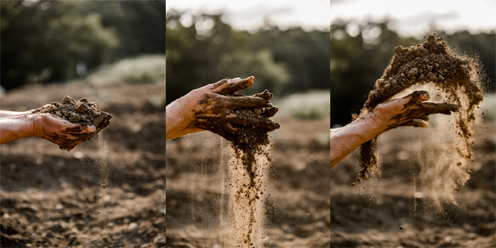 Izložba fotografija