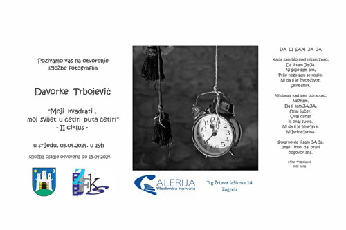 davorka izlozba 24